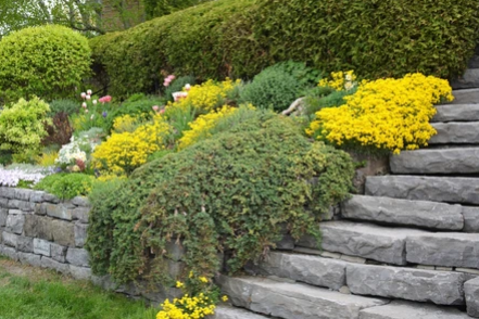 Elite Property Solutions & Services LLC Image